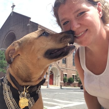 SouthPaw Dog Walking - Getting some love from Miso dog - Dog Walkers Near Me SouthPaw Dog Walking - Getting some love from Miso dog - Dog Walkers Near Me