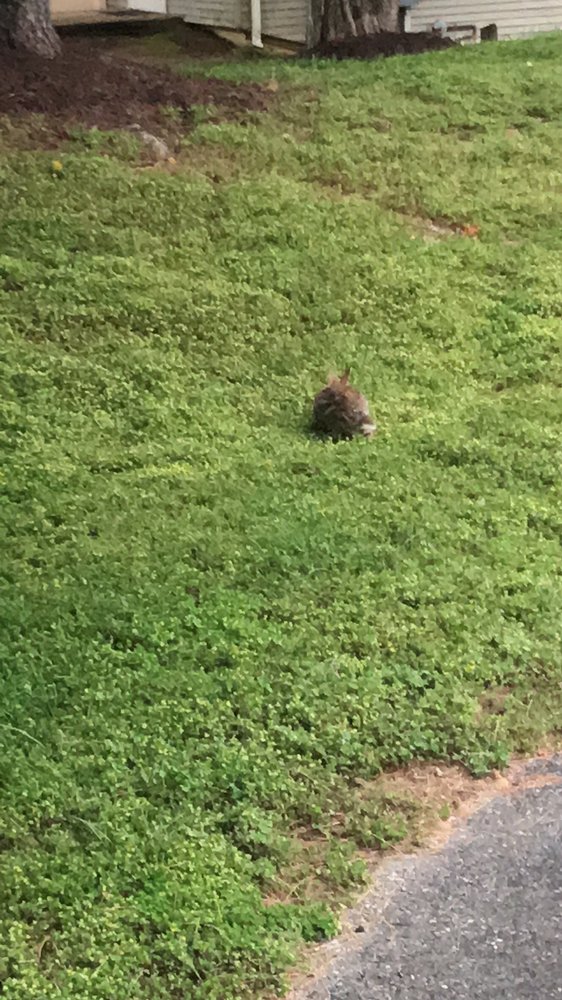 HARTING FARM HOA Updated August 2024 15 Photos 1011 Harting Farm