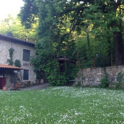 Al Trebbio - Campi di margherite e un agriturismo verace