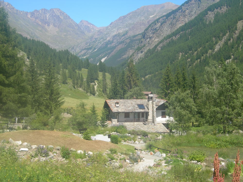 Giardino Alpino Paradisia