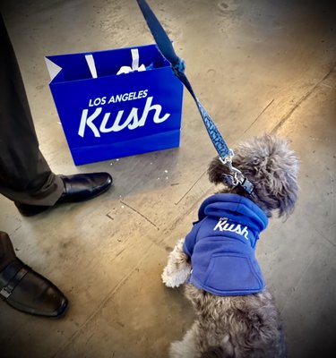 LA KUSH - Cannabis Dispensary by null