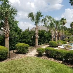 Palm Professionals Tropical Nursery