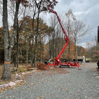 Greens Tree Service - Greens tree service. Work at our house. - Tree Services Near Me - Jim Thorpe, Pennsylvania Greens Tree Service - Greens tree service. Work at our house. - Tree Services Near Me - Jim Thorpe, Pennsylvania