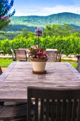 Stinson Vineyards by null