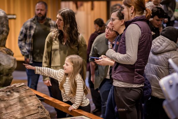 World Forestry Center by null