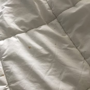 Quality Inn & Suites - Hotels Near Me - Matteson, Illinois