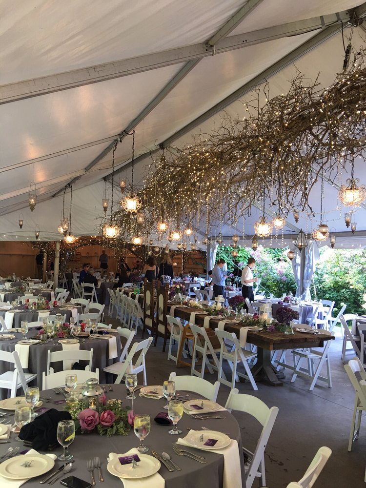 CAMROSE HILL FLOWER STUDIO & FARM Updated October 2024 11 Photos