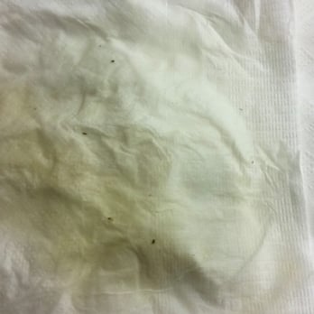 Pho Avenue - if zoomed in, you can see around 5 bugs. - Vietnamese Near Me - Mountain View, California Pho Avenue - if zoomed in, you can see around 5 bugs. - Vietnamese Near Me - Mountain View, California