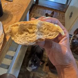The Original Steaks and Hoagies - Middleburg Heights - Supposedly a chicken cheesesteak.  Really bad customer service in fixing their mistake.