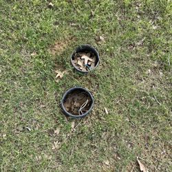 Lakeside Dog Park - Holes throughout the park