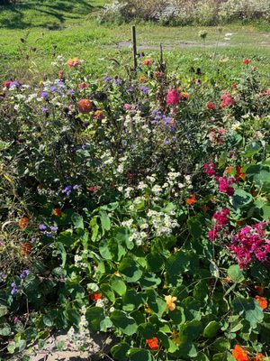 Indian Creek Farm by null