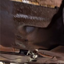 BMW Of Tampa Bay - Oil spill under the car