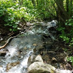 Beus Forest Green Park - Great water along the trail!