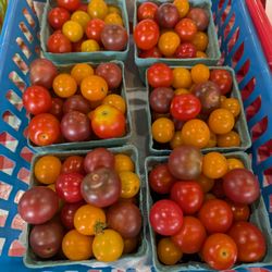 Tasty variety of cherry tomatoes
