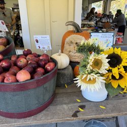 Dreyer Farms