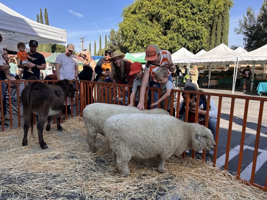 Orange Home Grown Farmers & Artisans Market by null