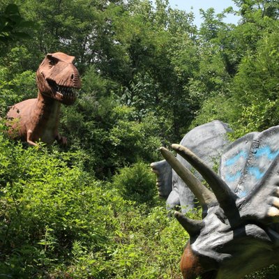 Dinosaur World by null