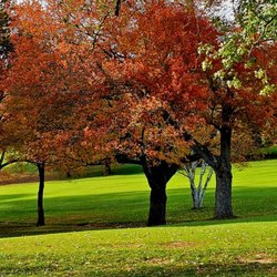 Chemawa Golf Course