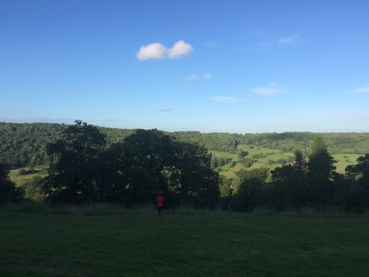 American Museum & Gardens by null