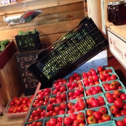 Little Field Farm