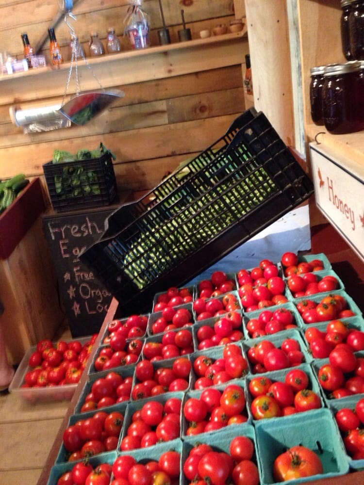 LITTLE FIELD FARM 2954 Eaton Rd, Madison, New Hampshire Farmers