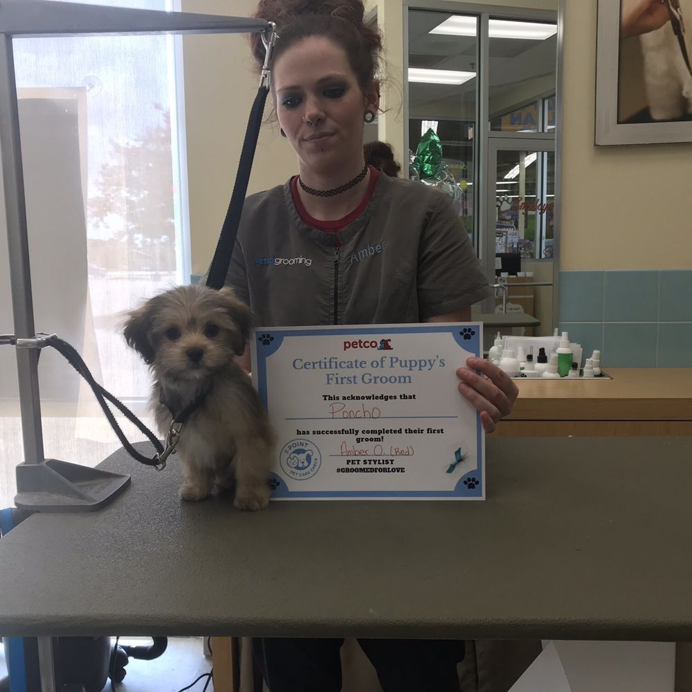 Petco - This little cutie passed his first groom!  He did great for Red his groomer! - Pet Training Near Me - Huntsville, Texas