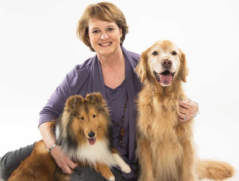 Wellness Alley - grief counselor in Clayton, MO