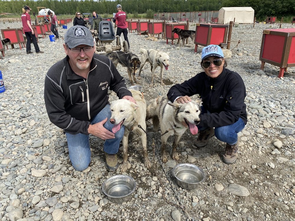 DALLAS SEAVY SLED DOG TOURS Sledding Talkeetna, Alaska 16 Photos