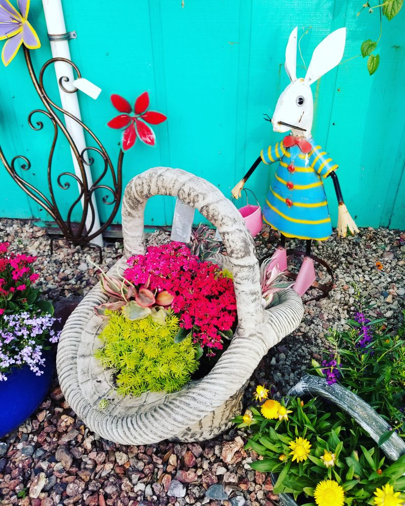A ONE STOP GARDEN SHOP 195 Photos & 18 Reviews Nurseries