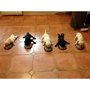 Photo of Paws At Peace Pro Pet Sitting