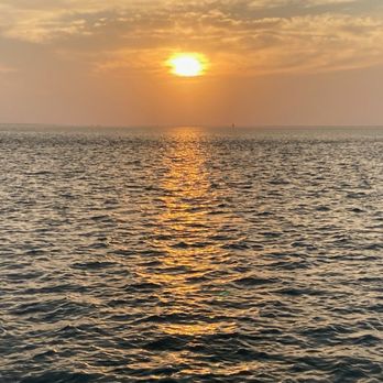 Fins To Feathers - Tours Near Me - Port Isabel, Texas