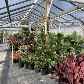 Certified Outdoors - Nurseries & Gardening Near Me - Orlando, Florida Certified Outdoors - Nurseries & Gardening Near Me - Orlando, Florida