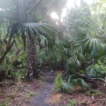 Black Hammock Wilderness Area and Trail - Parks Near Me - Oviedo, Florida Black Hammock Wilderness Area and Trail - Parks Near Me - Oviedo, Florida