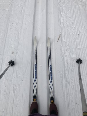 Rim Nordic XC Ski Area & Mountain Bike Park by null