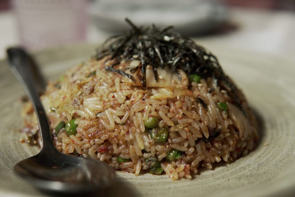 PLANTA QUEEN FORT LAUDERDALE 680 Photos & 237 Reviews 1201 E Las