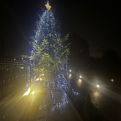 Gabriel House - Christmas time