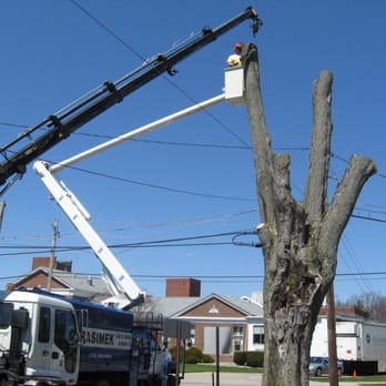 Gerasimek & Sons Tree Service - Severely decayed maple removal near Greenville hospital. Notice all of the wires. - Tree Services Near Me - Transfer, Pennsylvania Gerasimek & Sons Tree Service - Severely decayed maple removal near Greenville hospital. Notice all of the wires. - Tree Services Near Me - Transfer, Pennsylvania