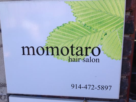 Momotaro Salon by null