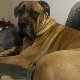 Max Max