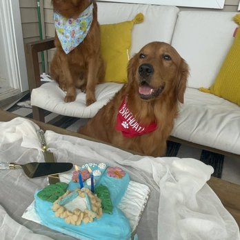 Dogtown Bakery - Custom cake - Custom Cakes Near Me - Kailua, Hawaii