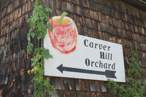 Carver Hill Orchard by null