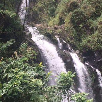 Roberts Hawaii - Bus Tours Near Me - Kahului, Hawaii