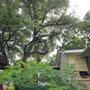 Valencia Tree Service