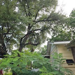 Valencia Tree Service
