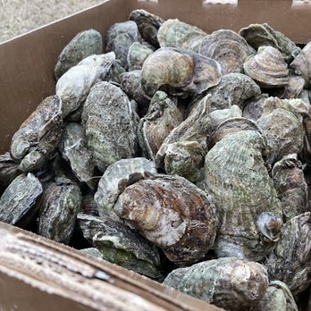 Feasters Foods - Box of Gulf Oysters - Grocery Near Me - Aiken, South Carolina