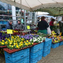 Wochenmarkt auf dem Jubiläumsplatz - Frühlingsblumen.