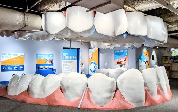 Cincinnati Museum Center by null