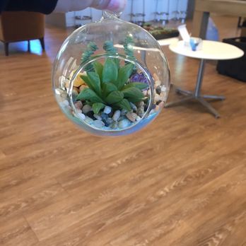 The Succulent Scene - Party & Event Planning Near Me