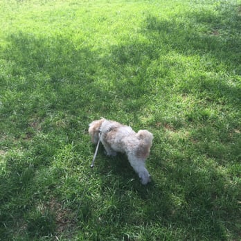 Dearborn Park - My dog loves it here! - Parks Near Me - Northridge, California Dearborn Park - My dog loves it here! - Parks Near Me - Northridge, California