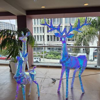 Cody's La Jolla - Cute Christmas decorations outside before you enter - Breakfast & Brunch Near Me - La Jolla, California Cody's La Jolla - Cute Christmas decorations outside before you enter - Breakfast & Brunch Near Me - La Jolla, California